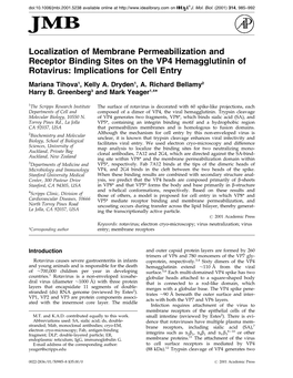 Localization of Membrane Permeabilization and Receptor Binding Sites on the VP4 Hemagglutinin of Rotavirus: Implications for Cell Entry