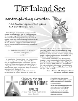 Contemplating Creation a Lenten Journey with the Mystics and Our Common Home