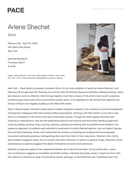 Arlene Shechet Skirts