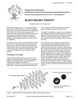 Black Walnut Toxicity