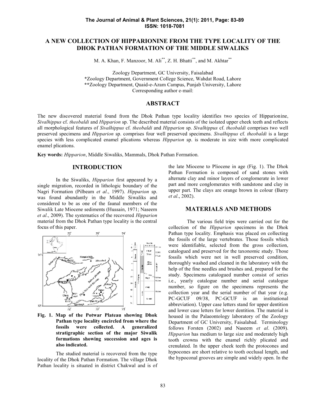 A New Collection of Hipparionine from the Type Locality of the Dhok Pathan Formation of the Middle Siwaliks