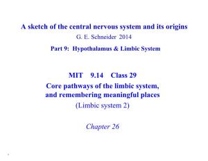 9.14 Lecture 29: Core Pathways of the Limbic System, and Remembering