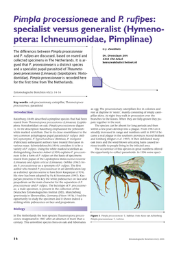 Pimpla Processioneae and P. Rufipes: Specialist Versus Generalist (Hymeno- Ptera: Ichneumonidae, Pimplinae)