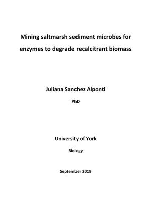 Mining Saltmarsh Sediment Microbes for Enzymes to Degrade Recalcitrant Biomass