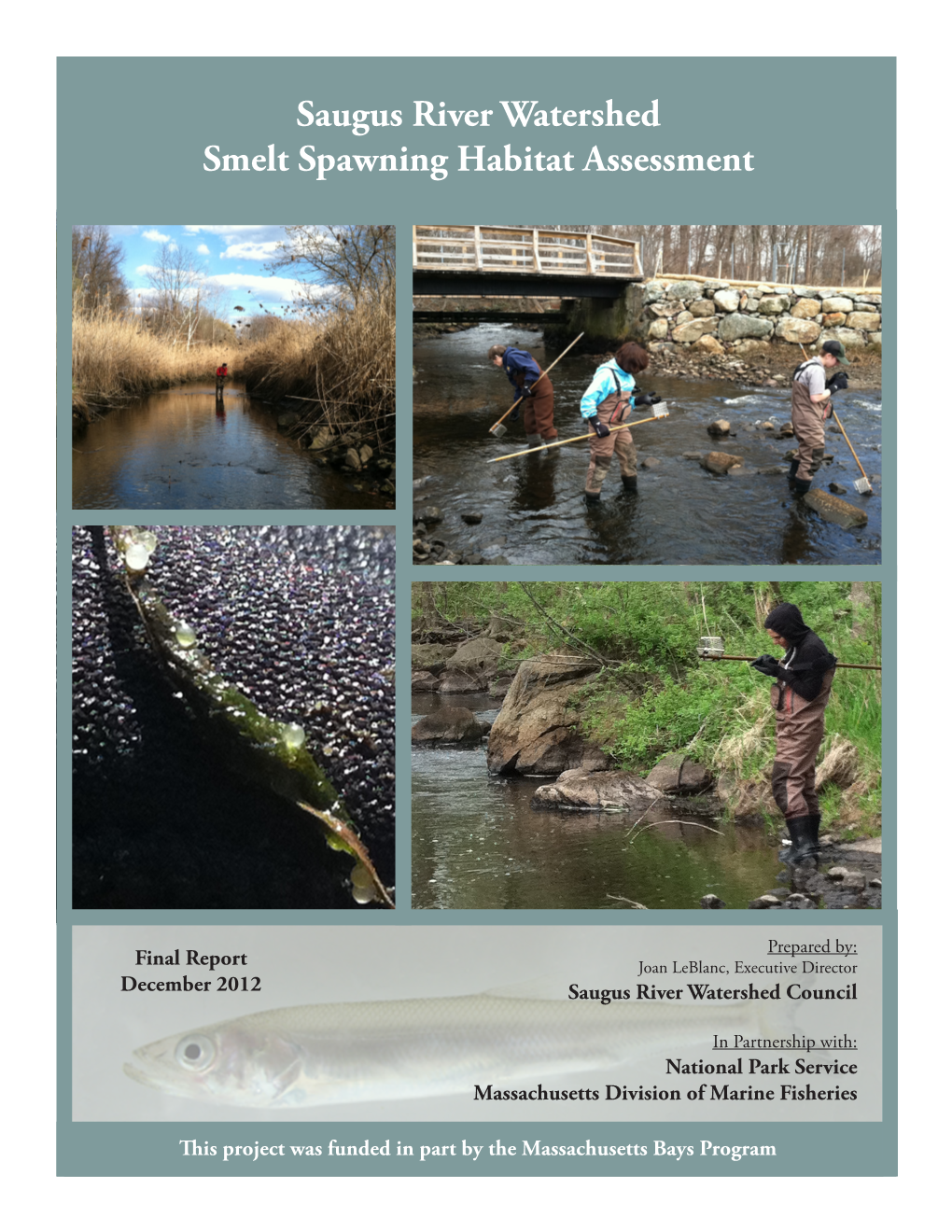 Saugus River Watershed Smelt Spawning Habitat Assessment