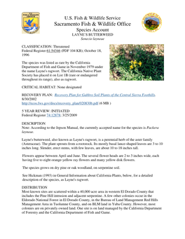 Laynes Butterweed.Pdf