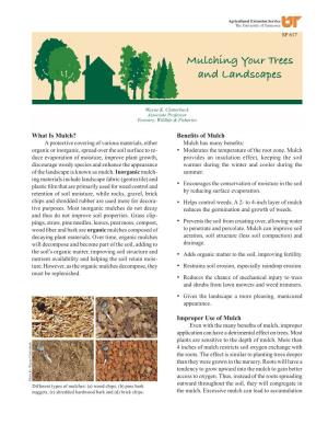 Mulching Your Trees and Landscapes