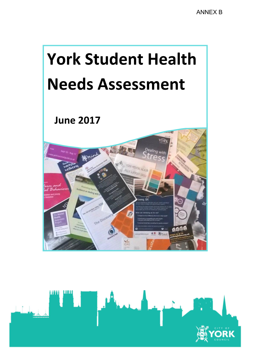 York Student Health Needs Assessment