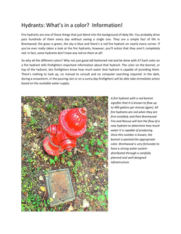 Hydrants: What's in a Color? Information!