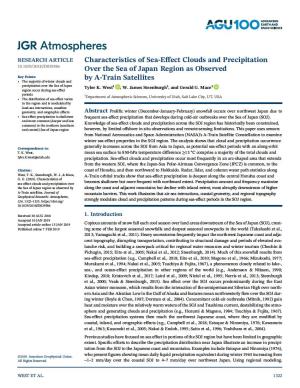 Characteristics of Sea-Effect Clouds and Precipitation Over