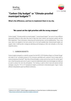 Carbon City Budget” Or “Climate-Proofed Municipal Budgets”?