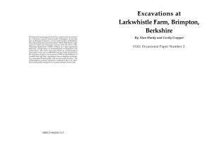 Excavations at Larkwhistle Farm, Brimpton, Berkshire
