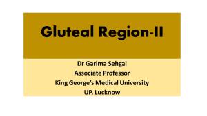 Gluteal Region-II