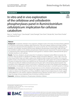 In Vitro and in Vivo Exploration of the Cellobiose and Cellodextrin Phosphorylases Panel in Ruminiclostridium Cellulolyticum: Im