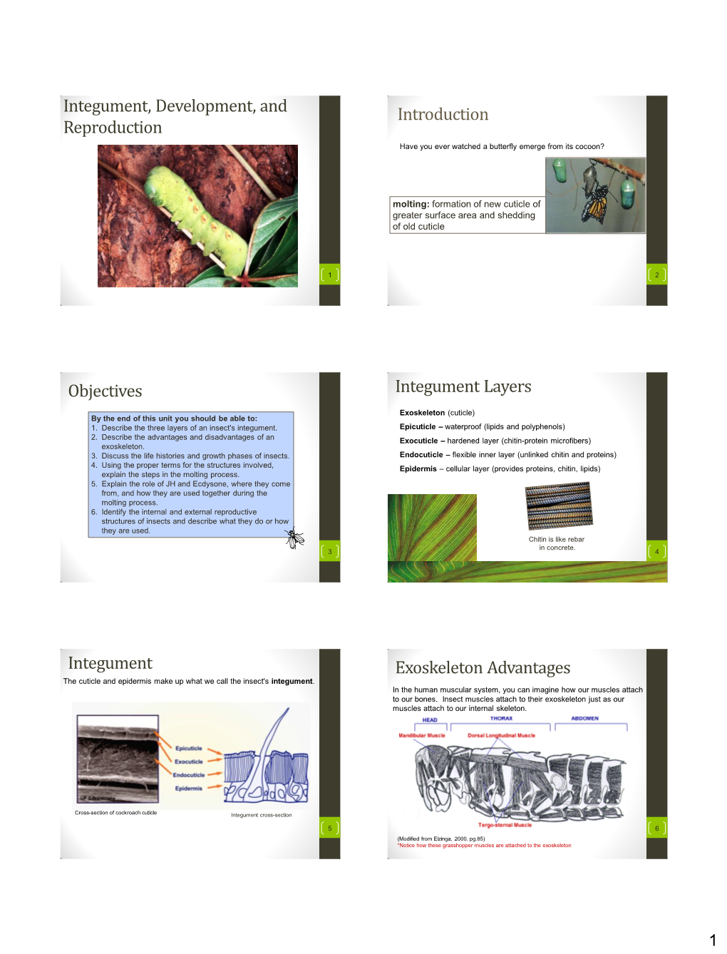 Integument, Development, and Reproduction Introduction