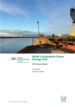 North Lincolnshire Green Energy Park