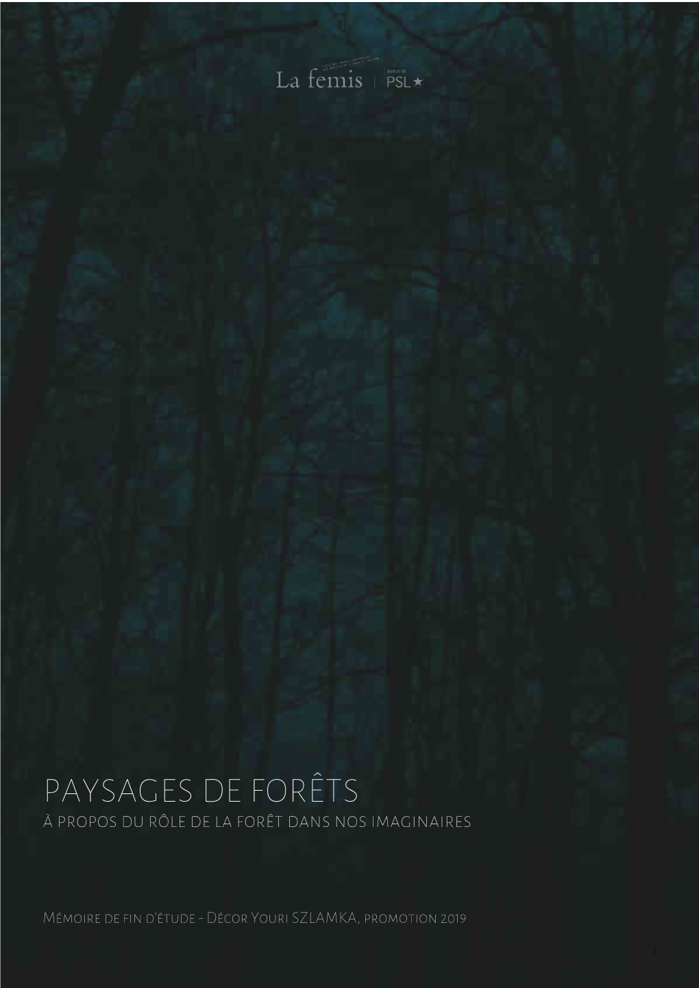 PAYSAGES DE FORÊTS À Propos Du Rôle De La Forêt Dans Nos Imaginaires