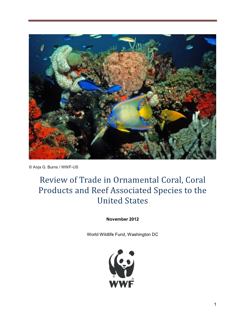 Review of Trade in Ornamental Coral, Coral Products and Reef Associated Species to the United States