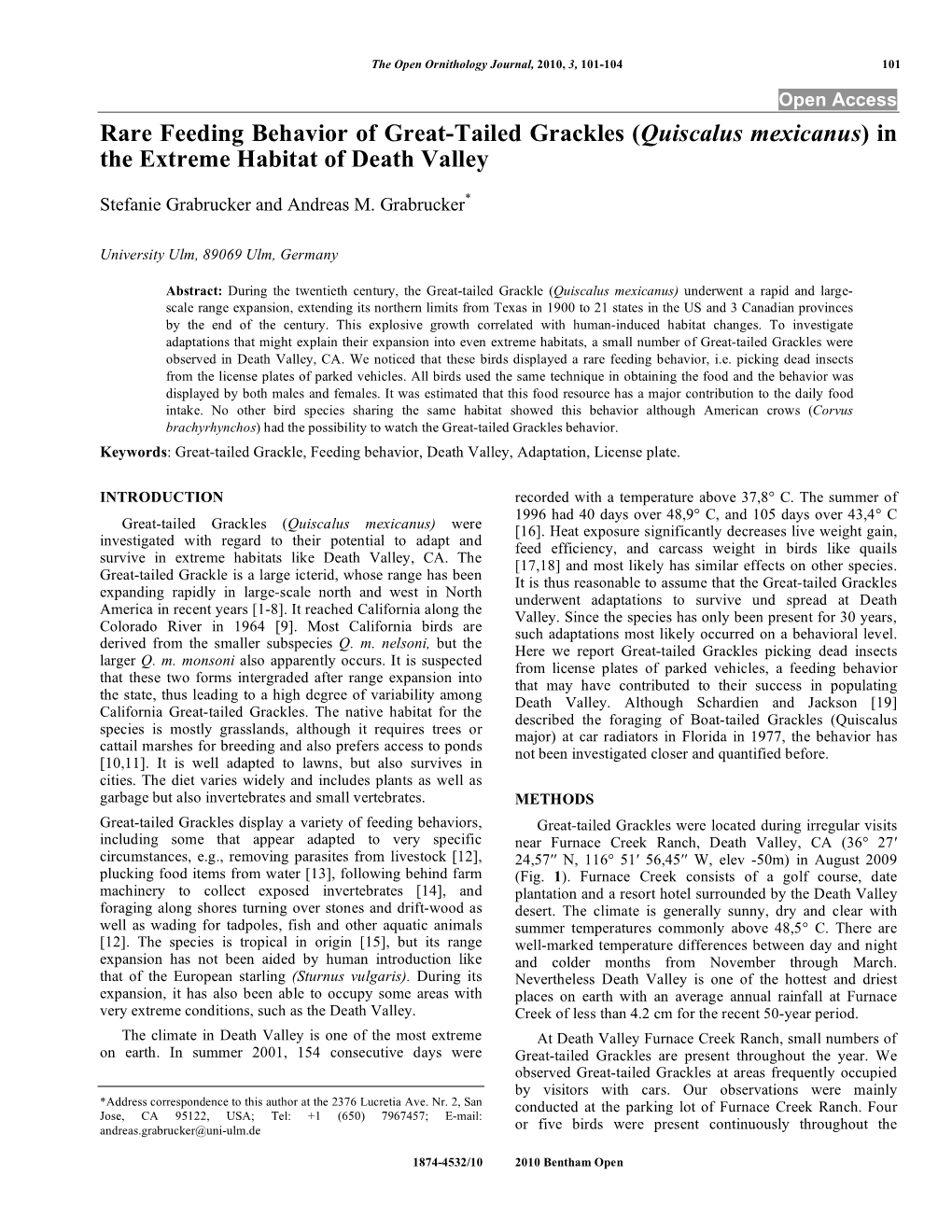 Rare Feeding Behavior of Great-Tailed Grackles (Quiscalus Mexicanus) in the Extreme Habitat of Death Valley