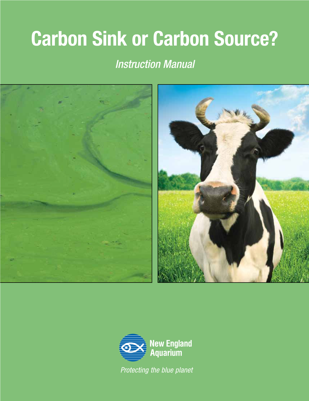 Carbon Sink Or Carbon Source? Instruction Manual Carbon Sink Or Carbon Source?