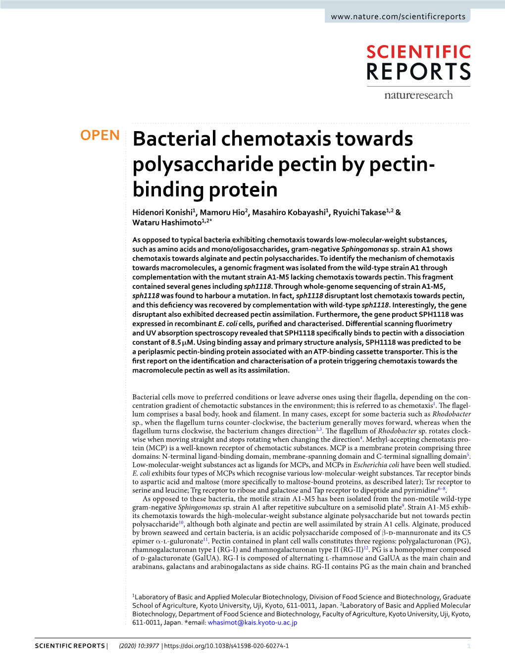 Bacterial Chemotaxis Towards Polysaccharide Pectin by Pectin