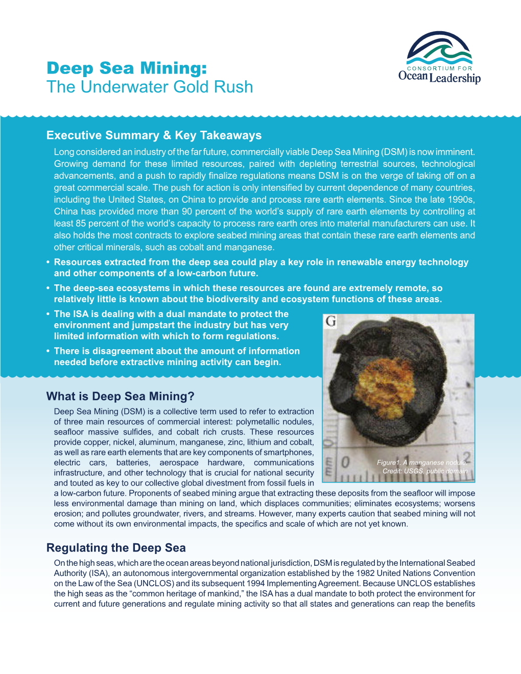 Deep Sea Mining: the Underwater Gold Rush