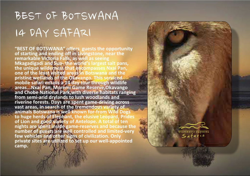 BEST of BOTSWANA 2020 to 2021