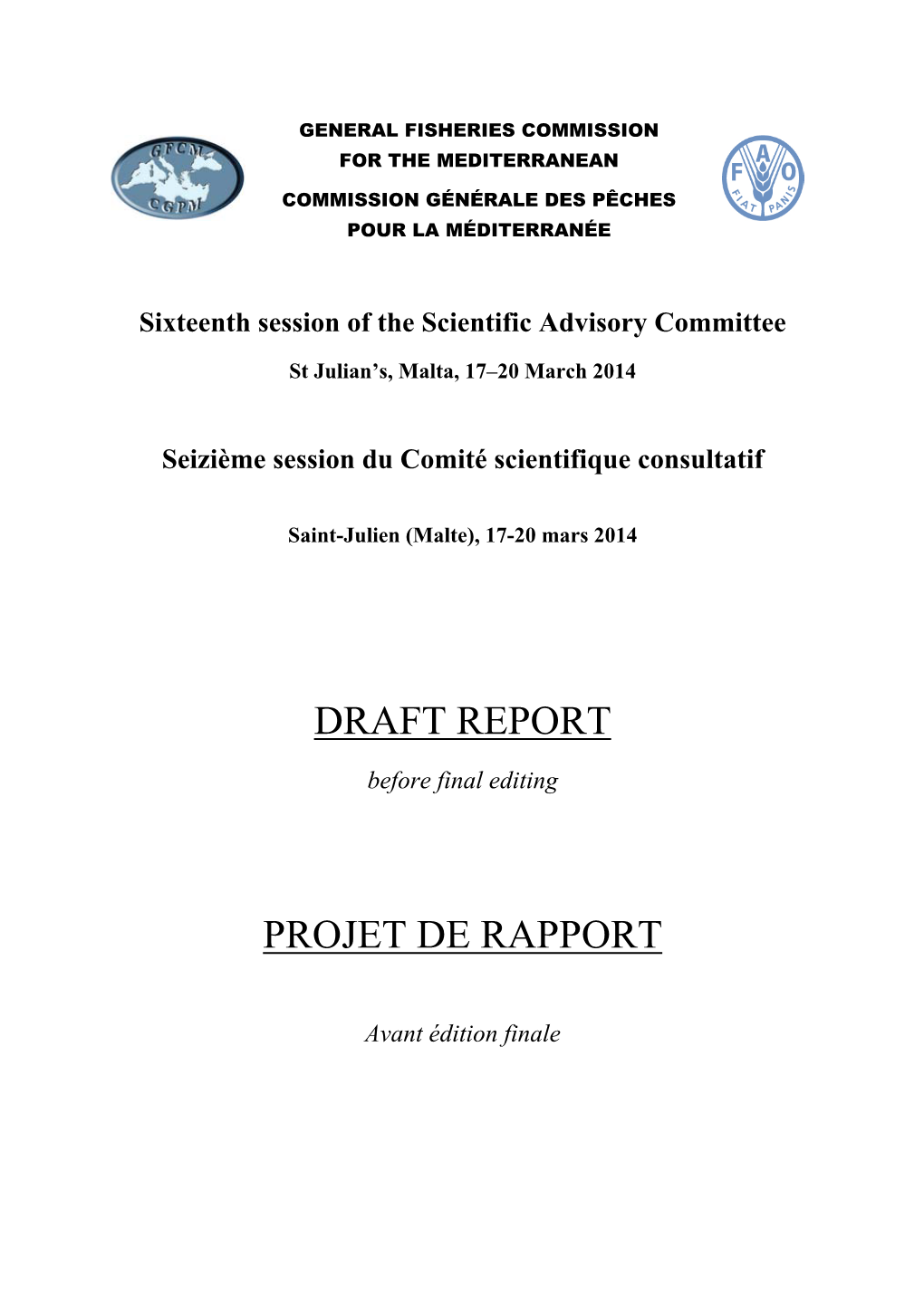 Draft Report Projet De Rapport