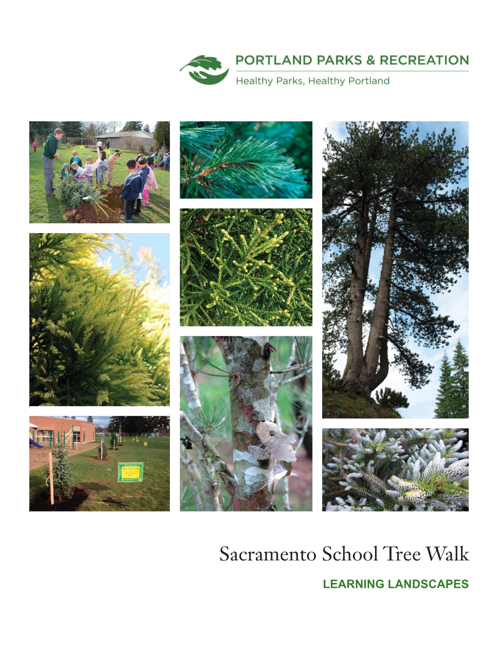 Download PDF File Sacramento Elementary School Tree Walk Guide