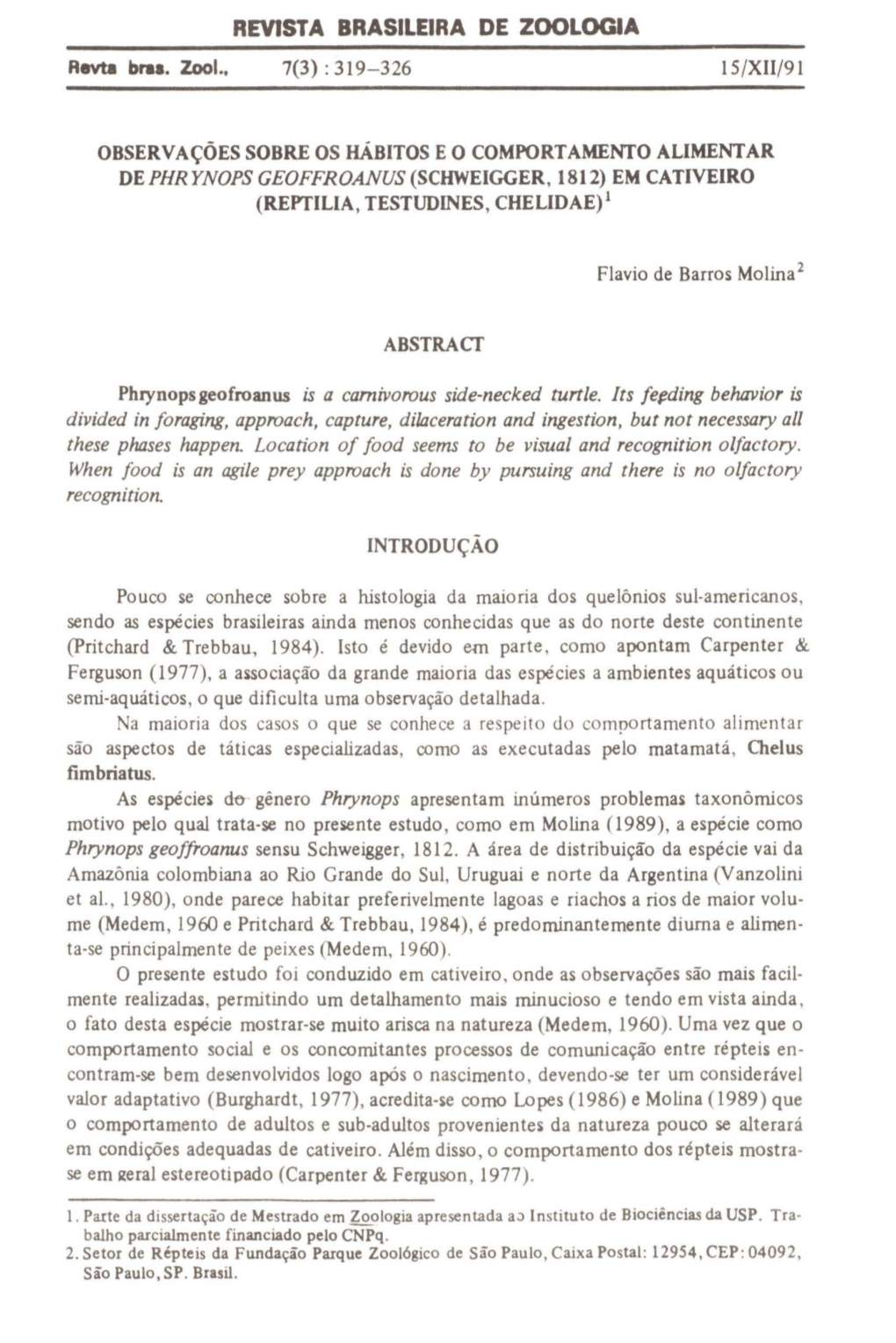 Download PDF (Português)