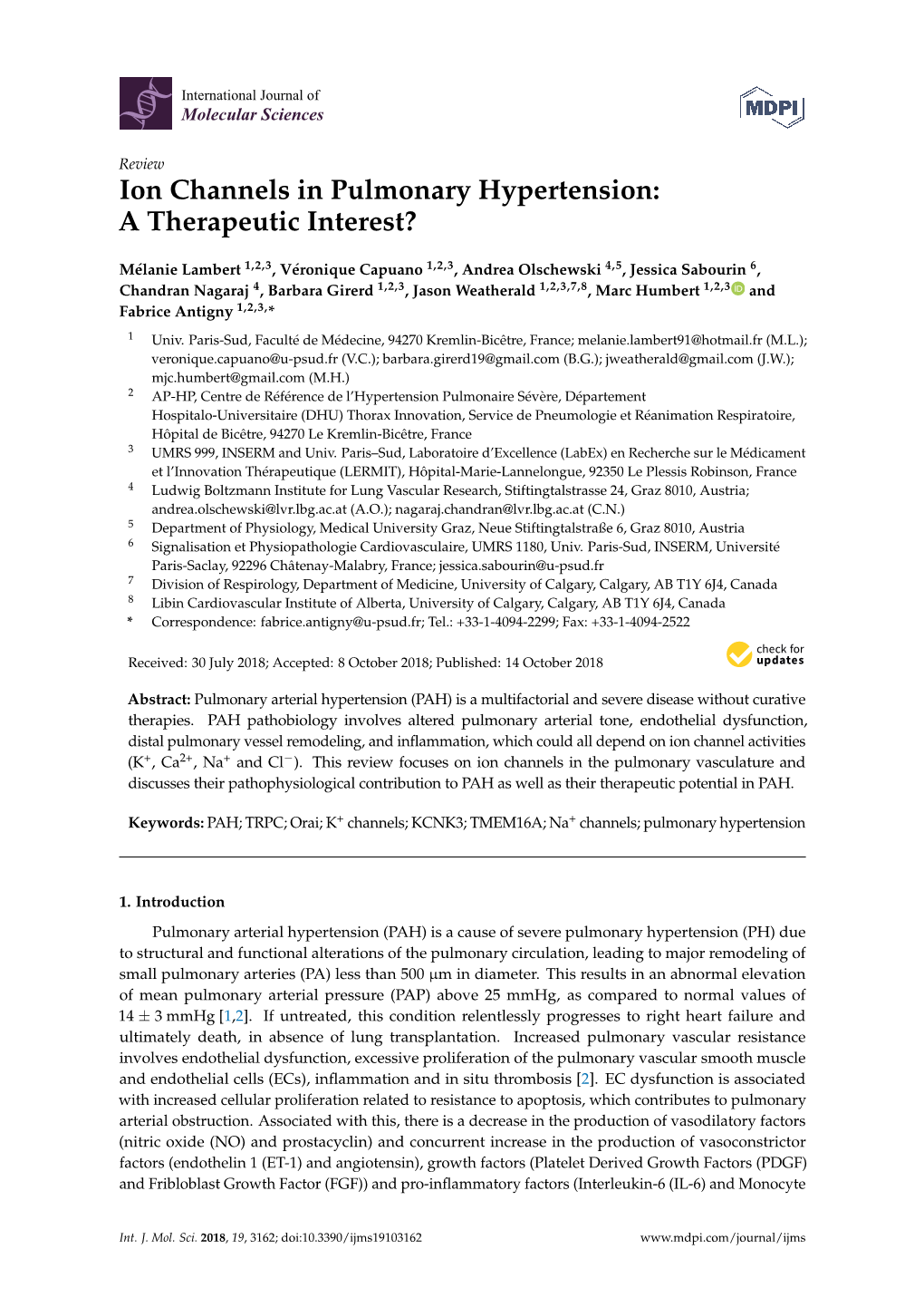 Ion Channels in Pulmonary Hypertension: a Therapeutic Interest?