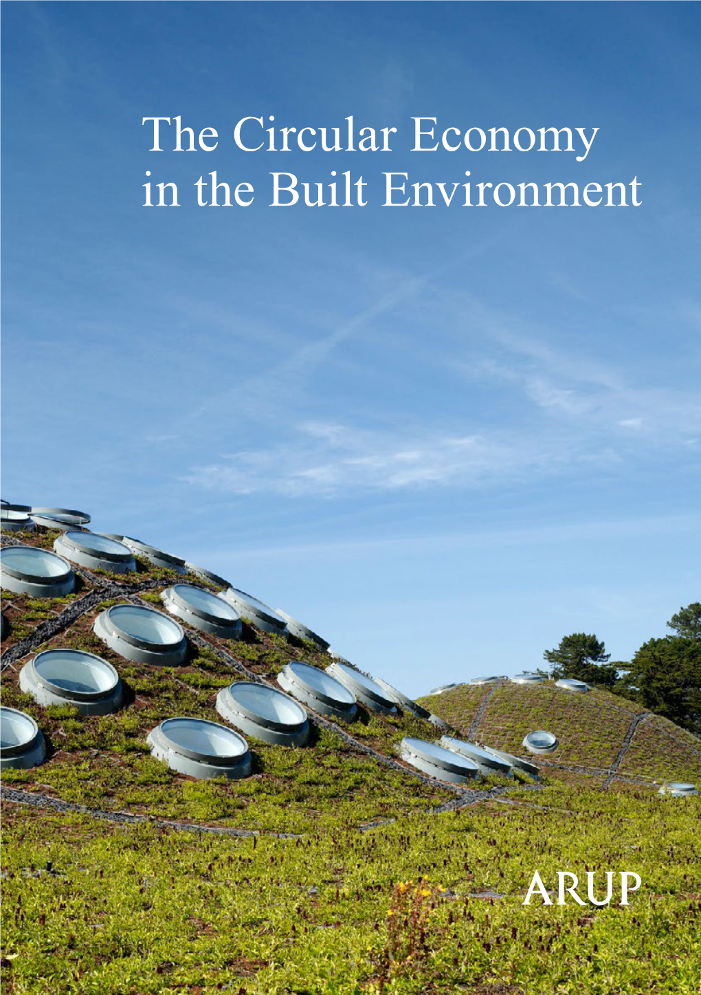 The Circular Economy in the Built Environment