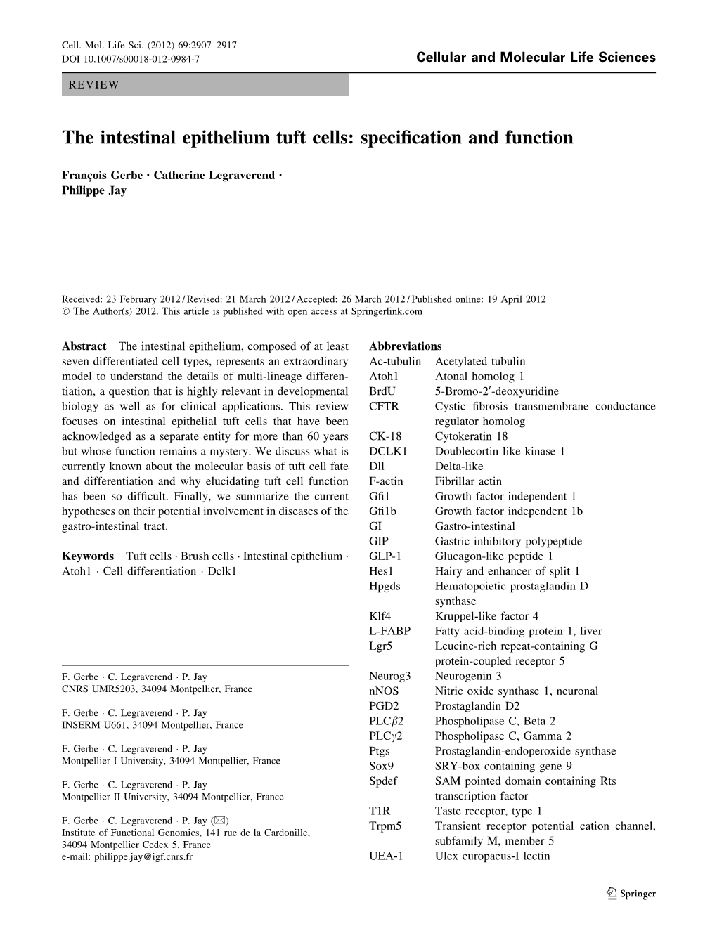 The Intestinal Epithelium Tuft Cells: Speciﬁcation and Function