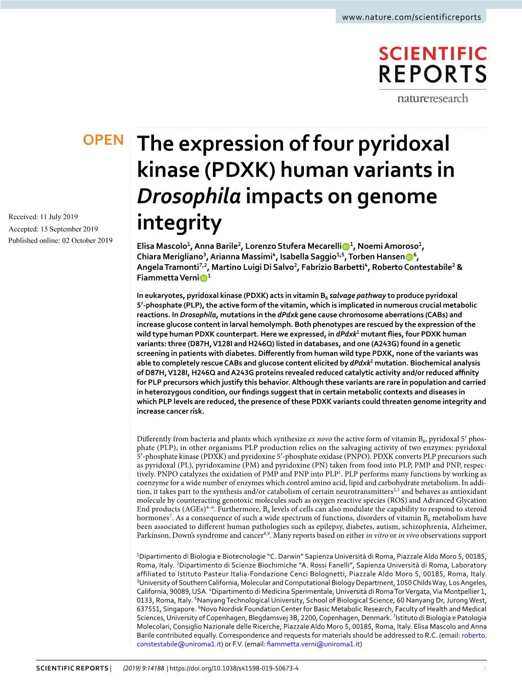 (PDXK) Human Variants in Drosophila Impacts on Genome Integrity