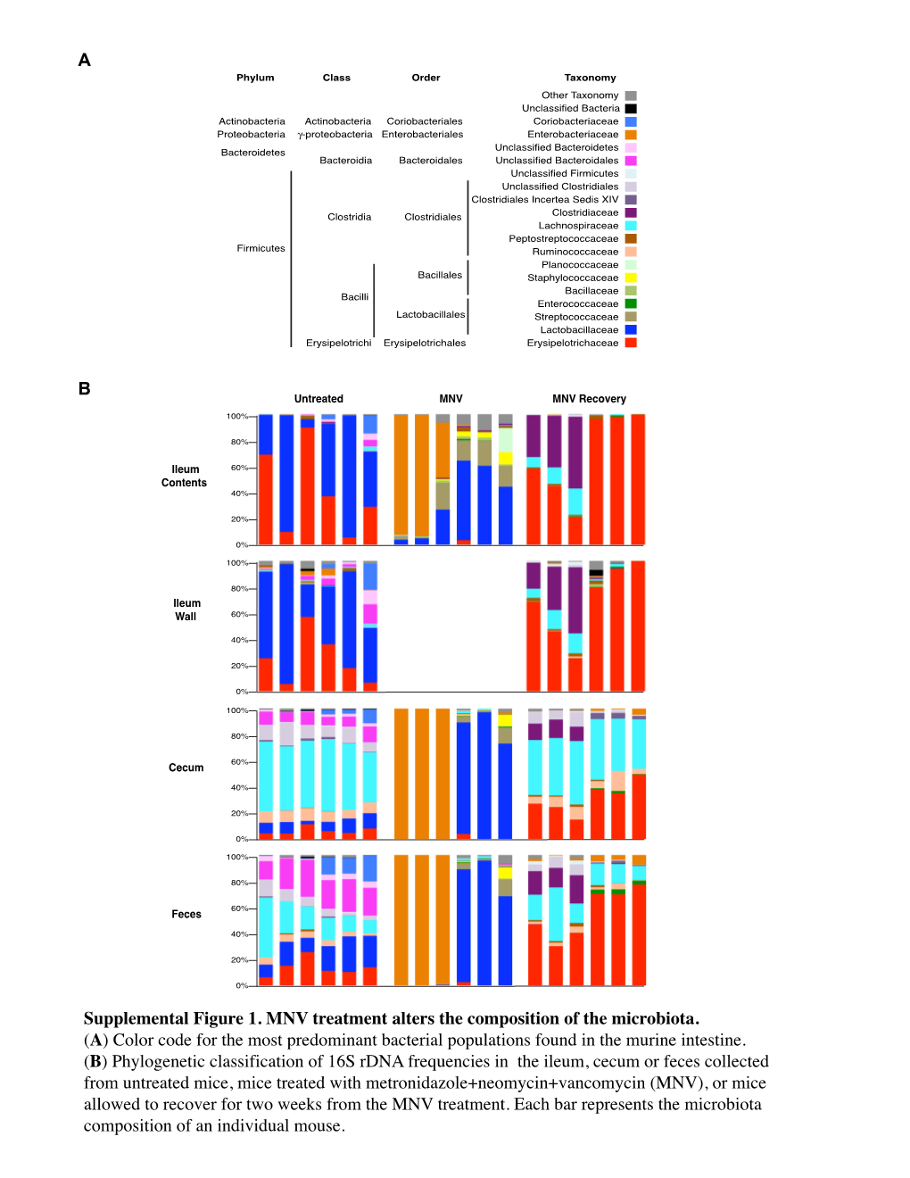 AB Supplemental Figure 1. MNV Treatment Alters The