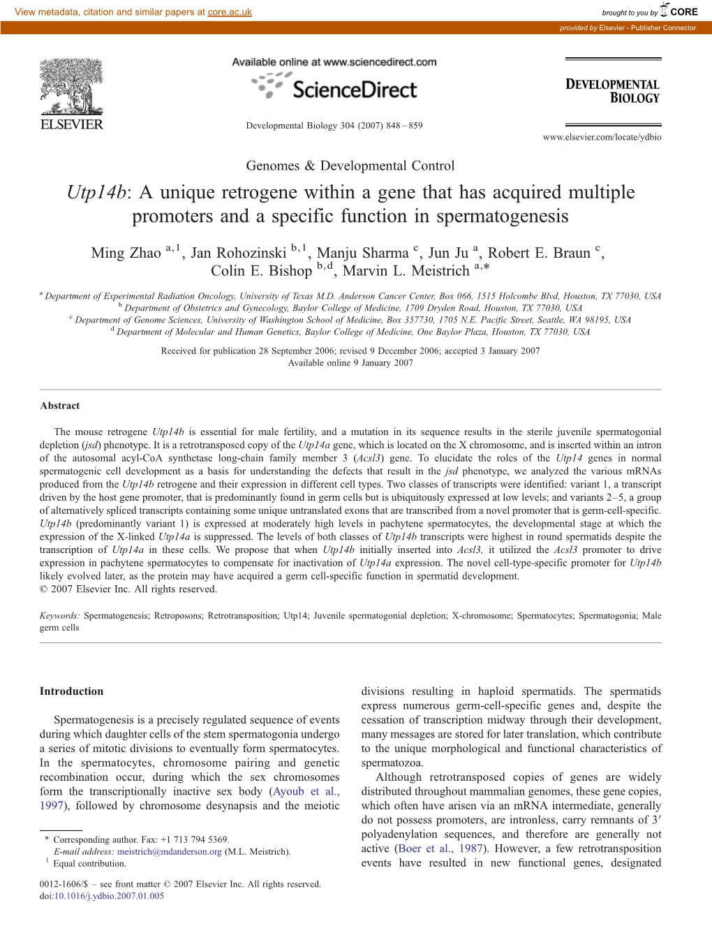 A Unique Retrogene Within a Gene That Has Acquired Multiple Promoters and a Specific Function in Spermatogenesis