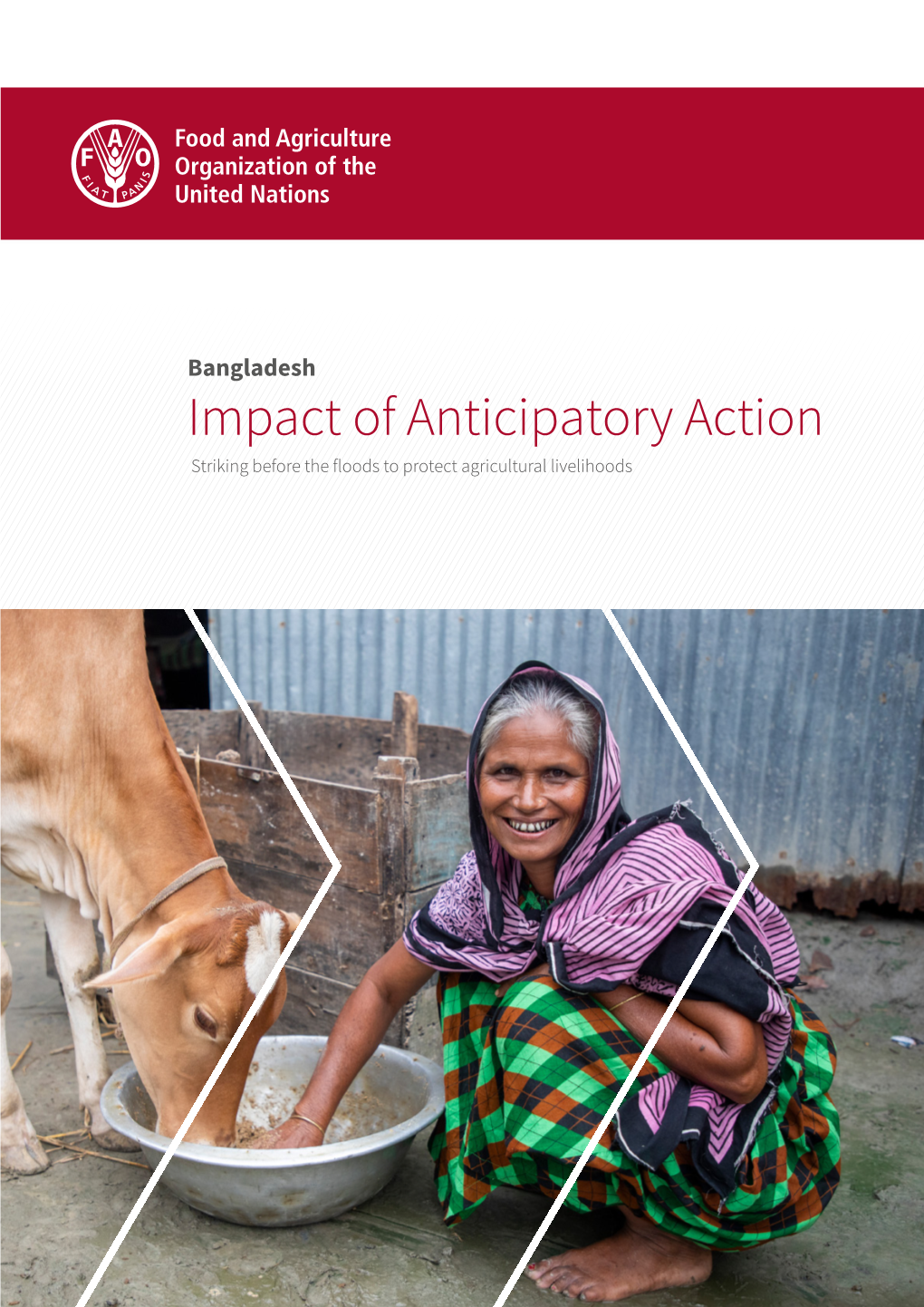 Bangladesh – Impact of Anticipatory Action