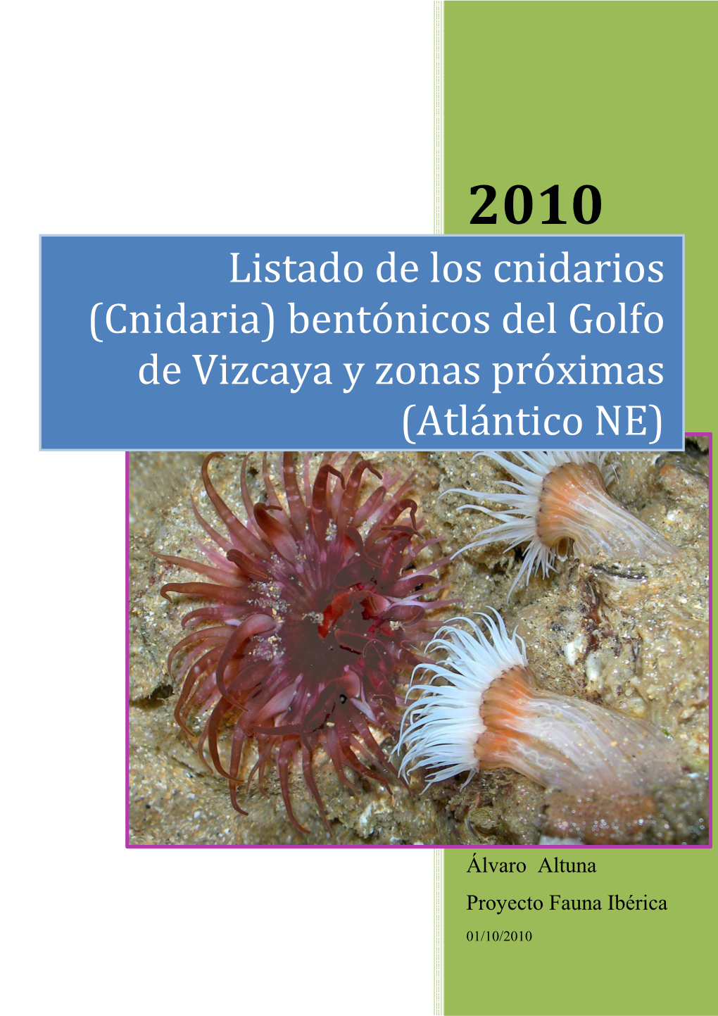 Cnidaria) Bentónicos Del Golfo De Vizcaya Y Zonas Próximas (Atlántico NE