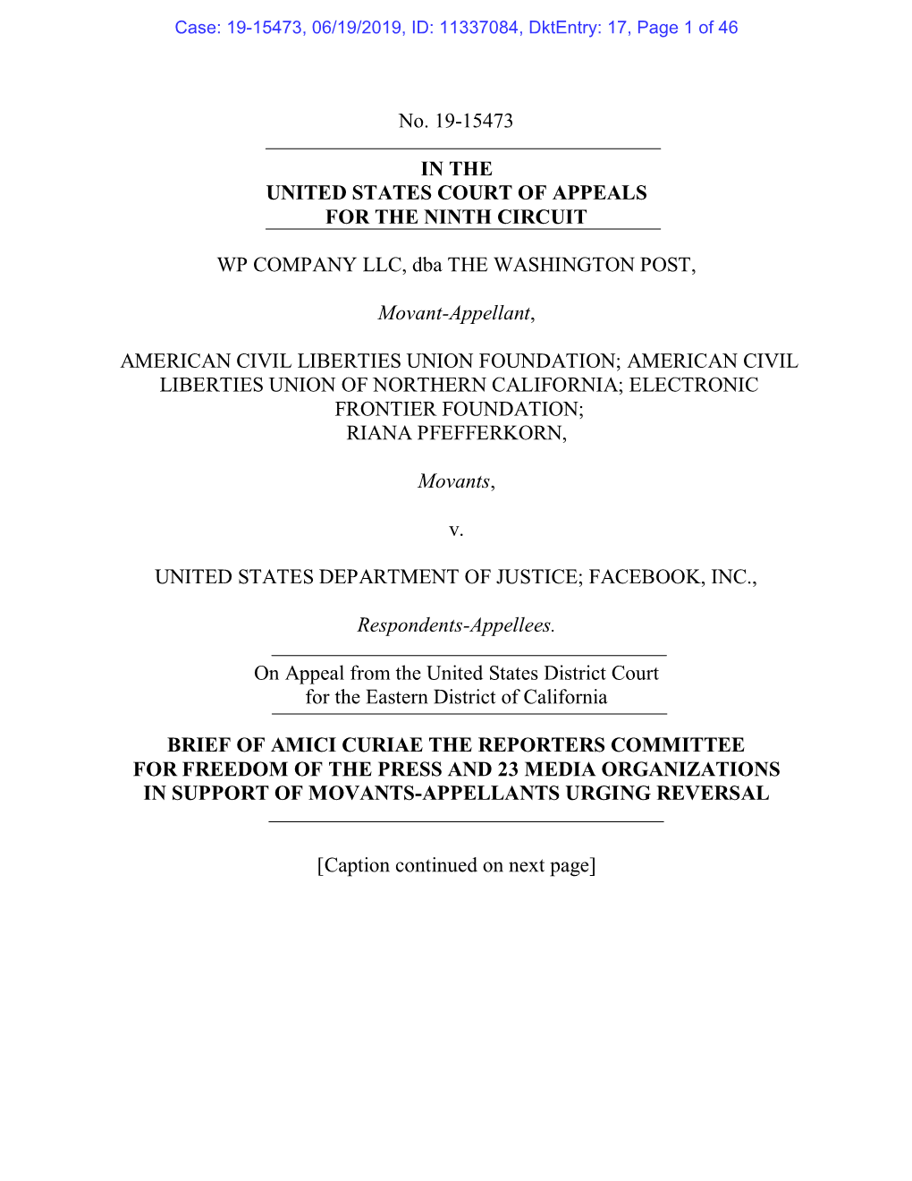 The Amicus Brief