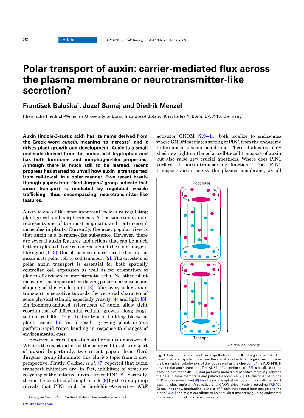 Polar Transport of Auxin: Carrier-Mediated ﬂux Across the Plasma Membrane Or Neurotransmitter-Like Secretion?