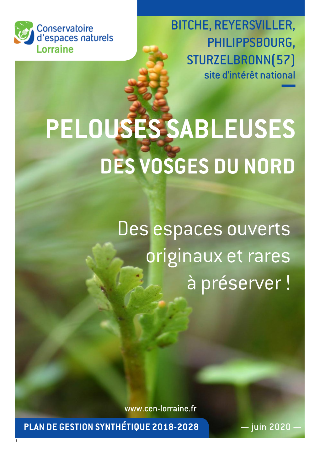 Pelouses Sableuses Des Vosges Du Nord