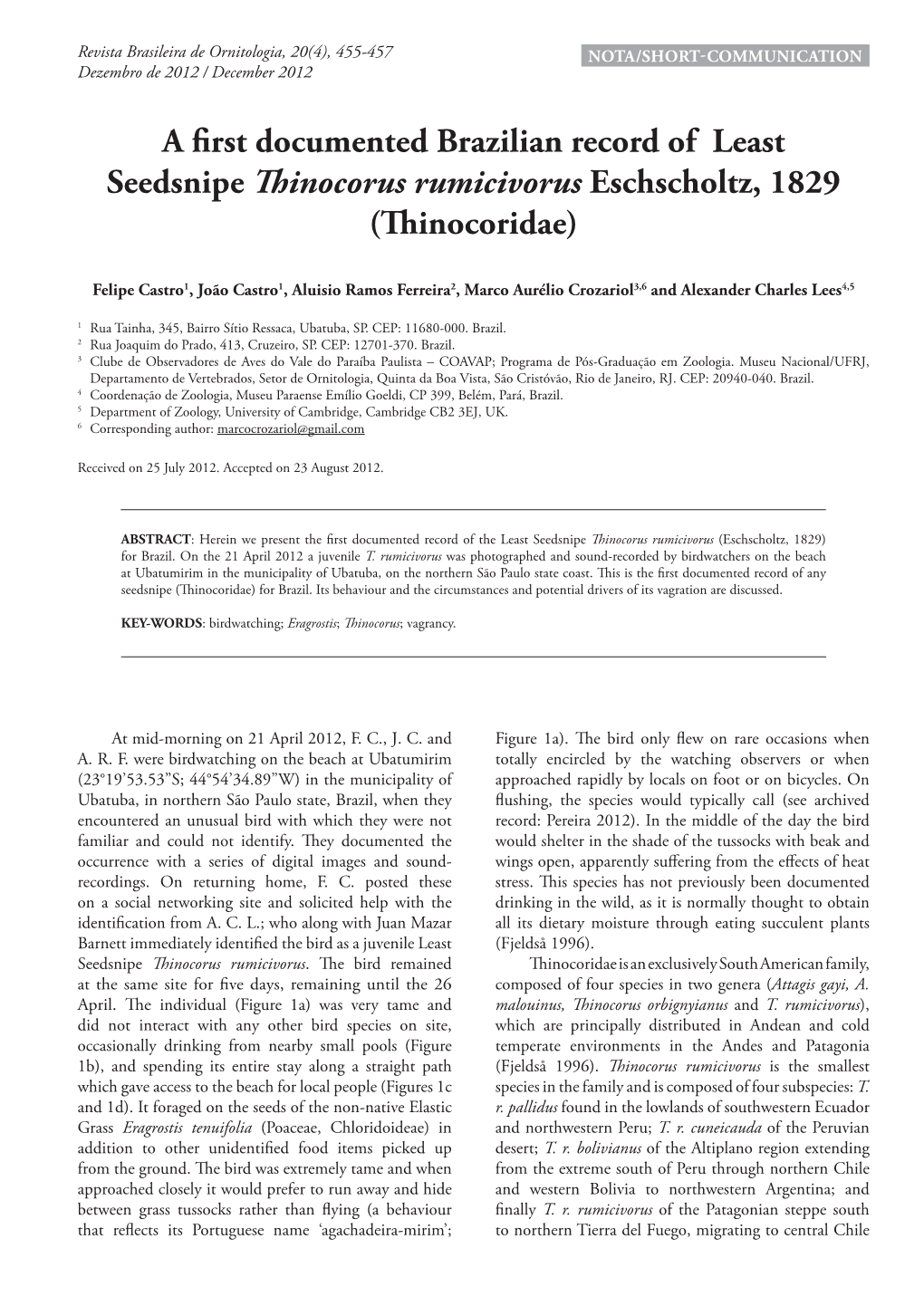 A First Documented Brazilian Record of Least Seedsnipe Thinocorus Rumicivorus Eschscholtz, 1829 (Thinocoridae)