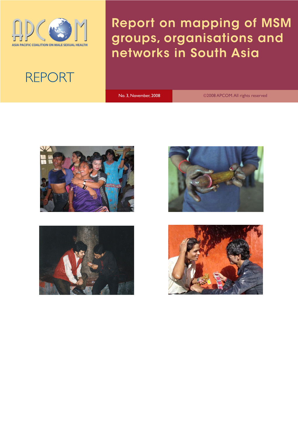 Report on Mapping MSM Groups, Organisations and Networks in South Asia