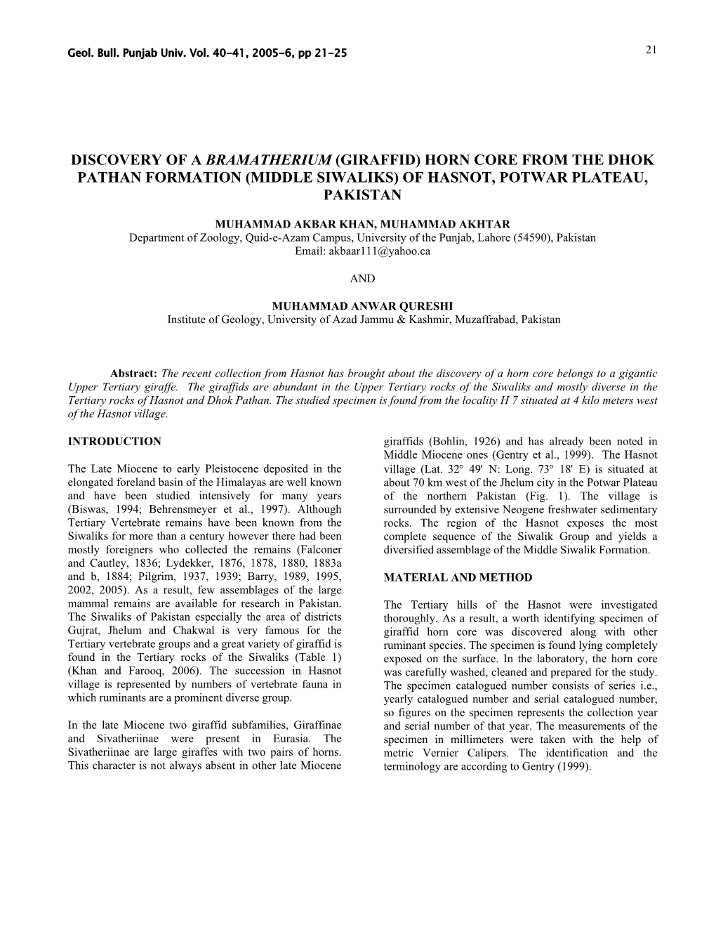 Discovery of a Bramatherium (Giraffid) Horn-Core From