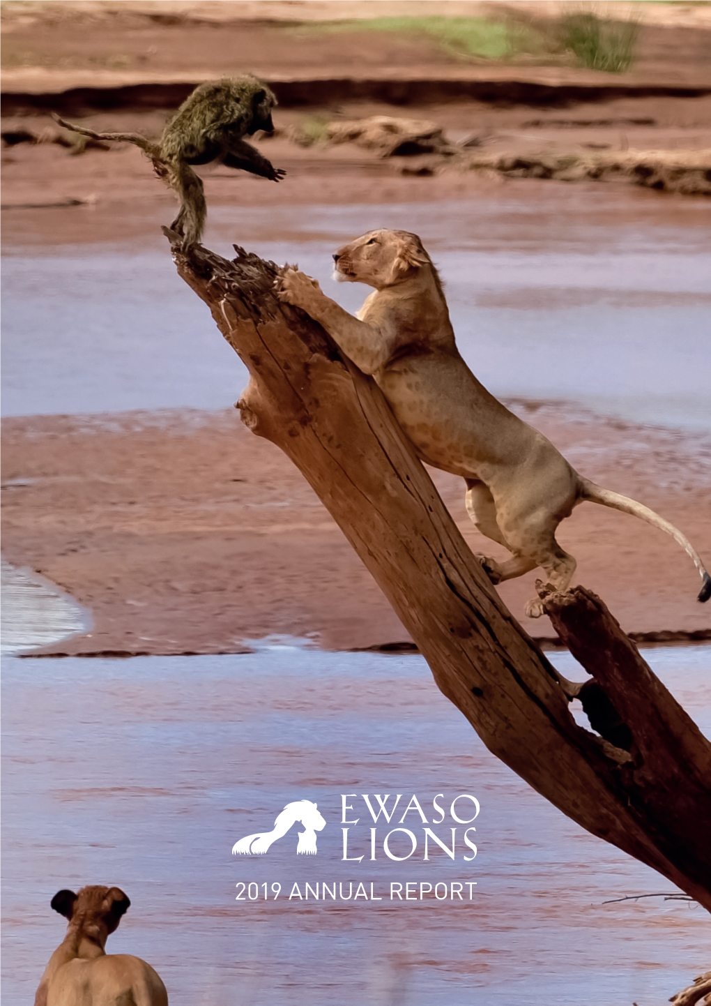 2019 Annual Report Ewaso Lions Is Dedicated to Conserving Lions About Lions