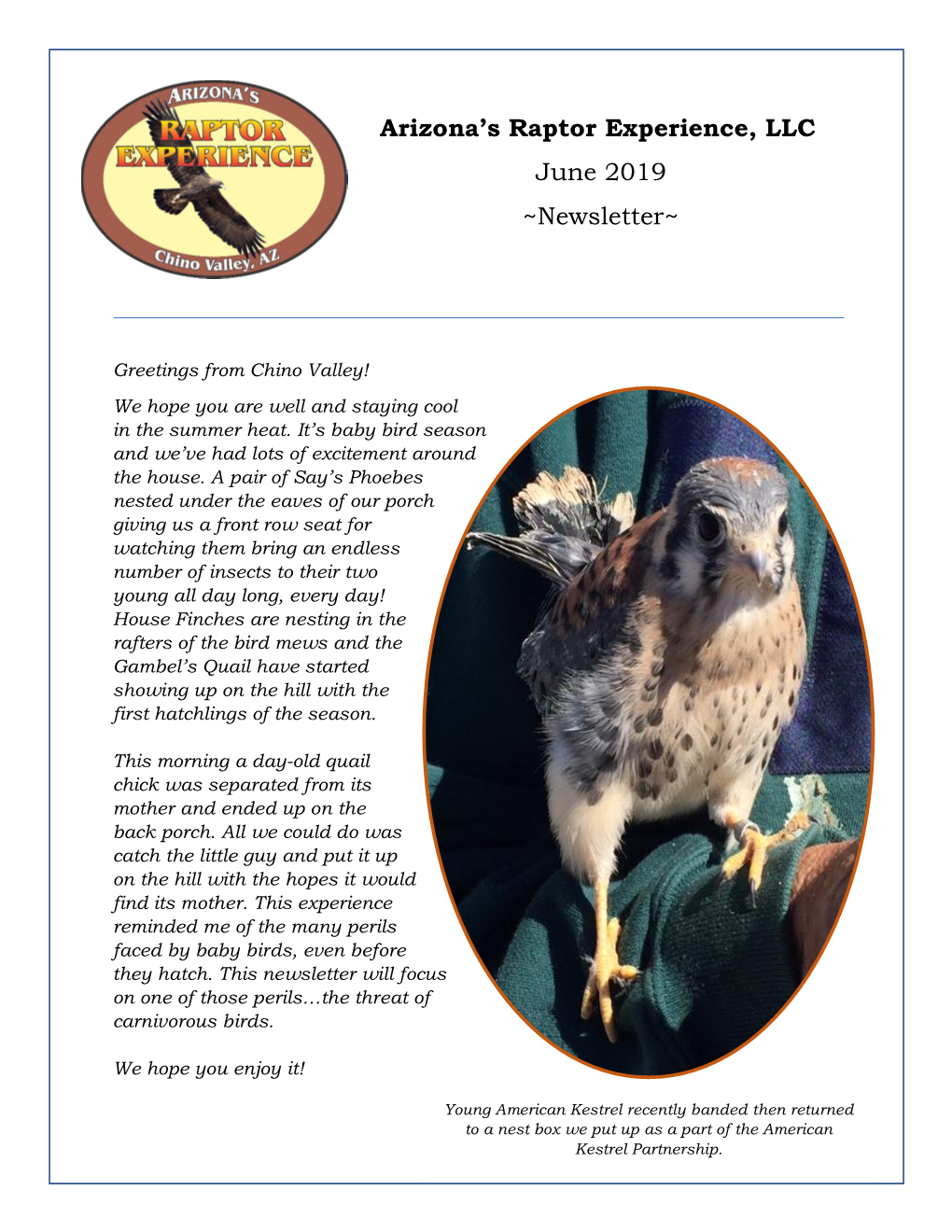 Arizona's Raptor Experience, LLC June 2019 ~Newsletter~