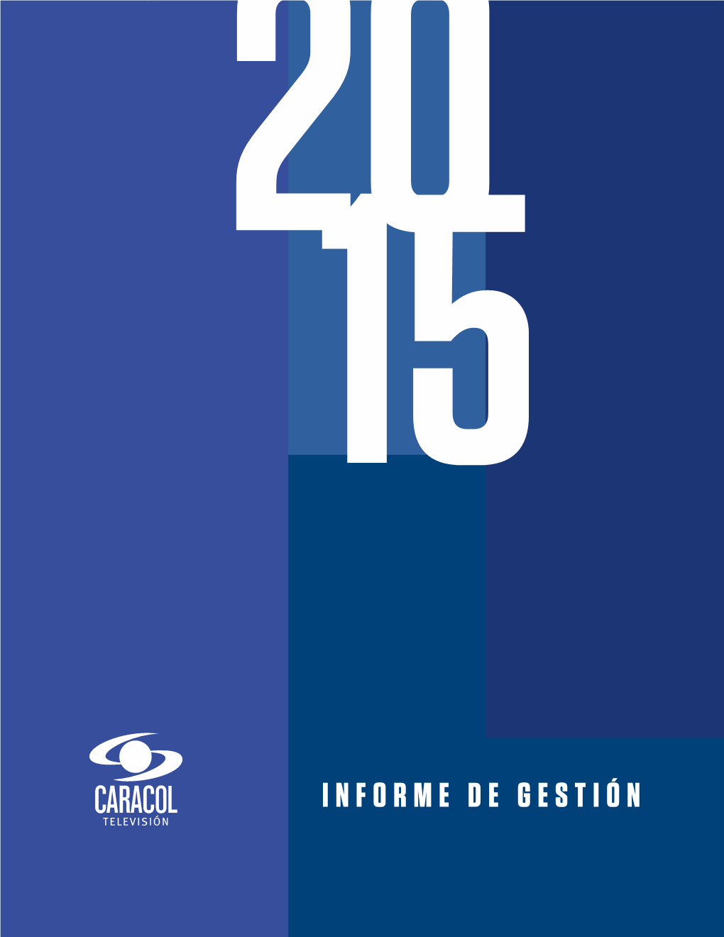 Informe De Gestión 20 15