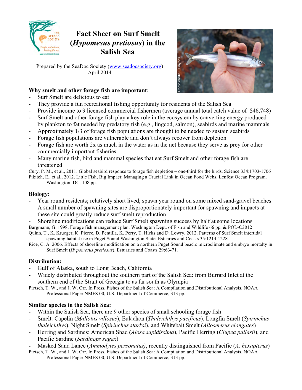 Fact Sheet on Surf Smelt (Hypomesus Pretiosus) in the Salish Sea