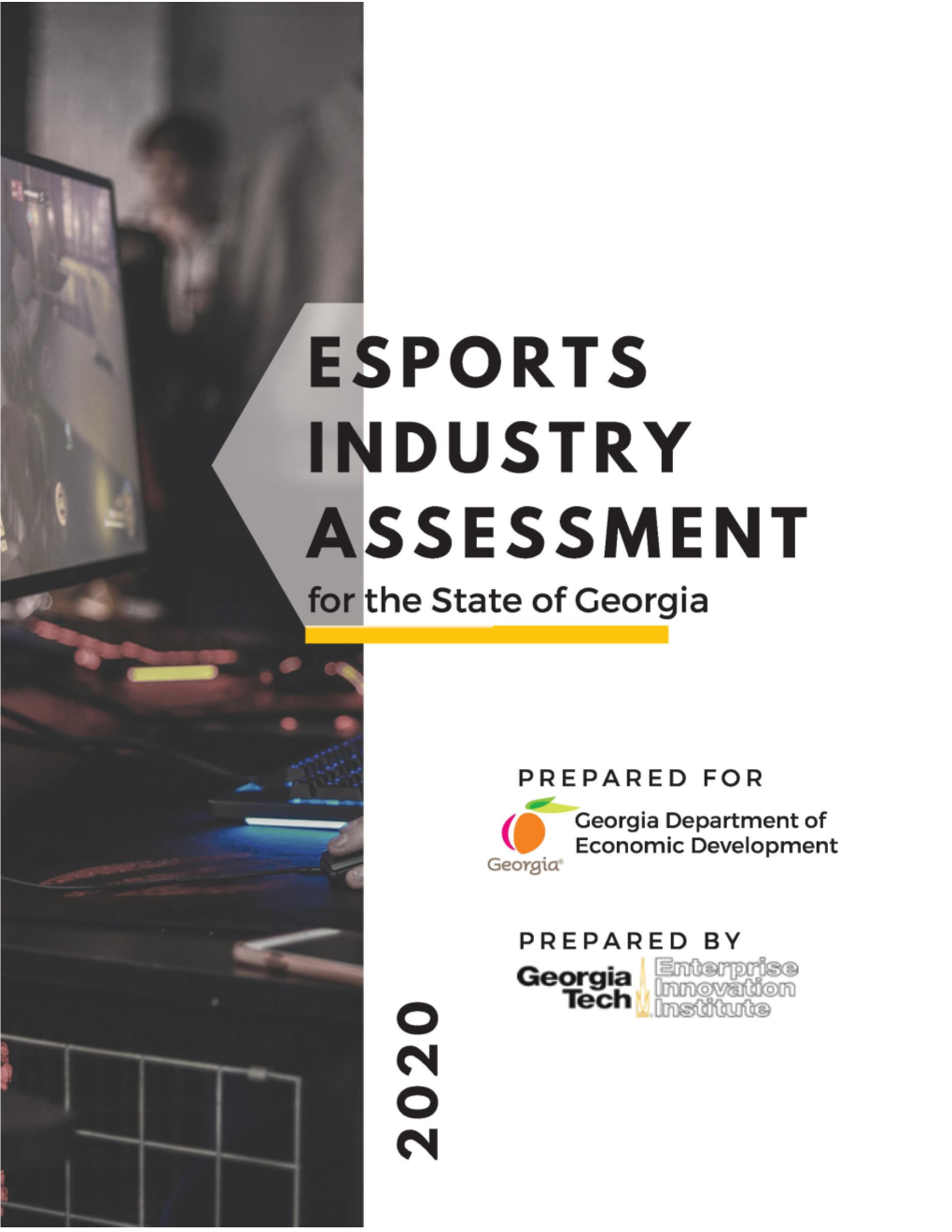 Esports Impact Study