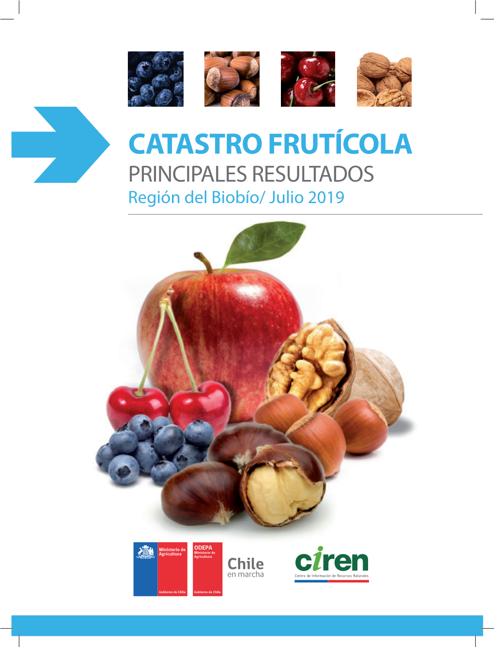 CATASTRO FRUTÍCOLA PRINCIPALES RESULTADOS Región Del Biobío/ Julio 2019